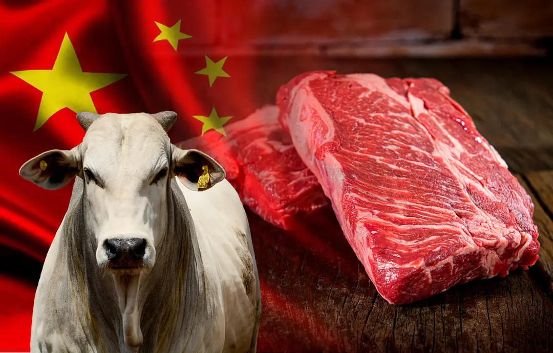 China suspende importação de carne bovina de três frigoríficos brasileiros