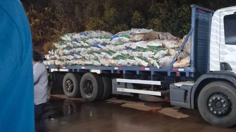 Mandioca que saiu da região de Porto Índio é confundida com contrabando e caminhoneiro levou baita prejuízo no PY