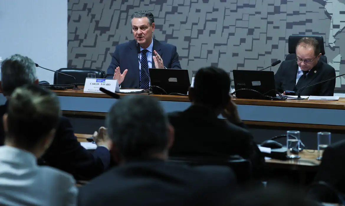 Alívio ao setor, ministro diz que foco de gripe aviária está contido no Brasil