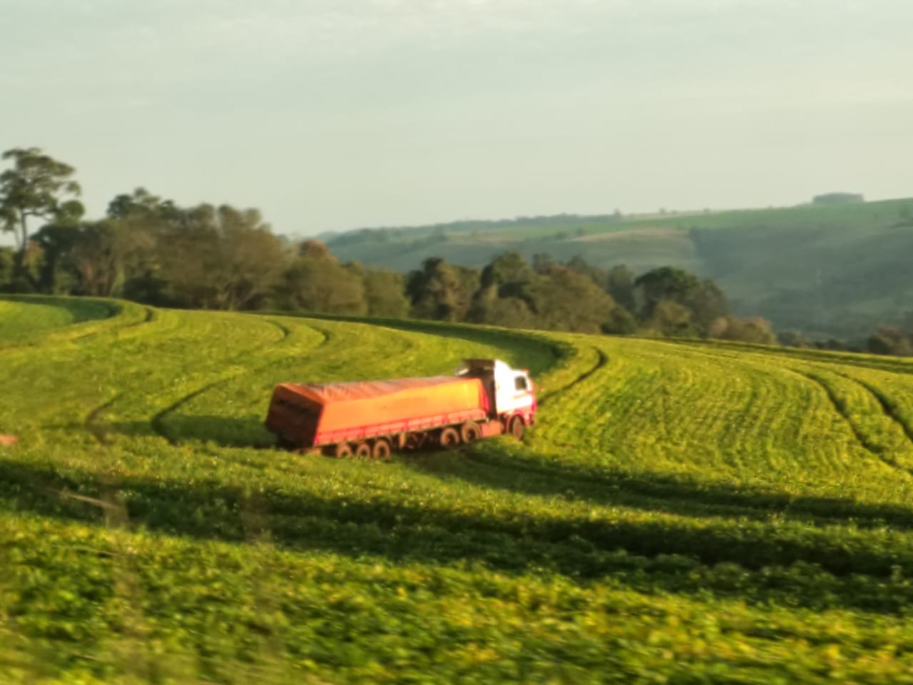 Há 9 dias caminhão está “sequestrado” em lavoura e agricultor pede “resgate” pra liberar