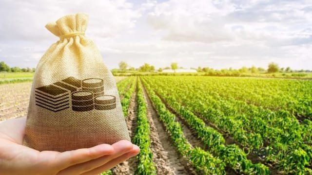 Plano Safra: a mentira por trás dos números