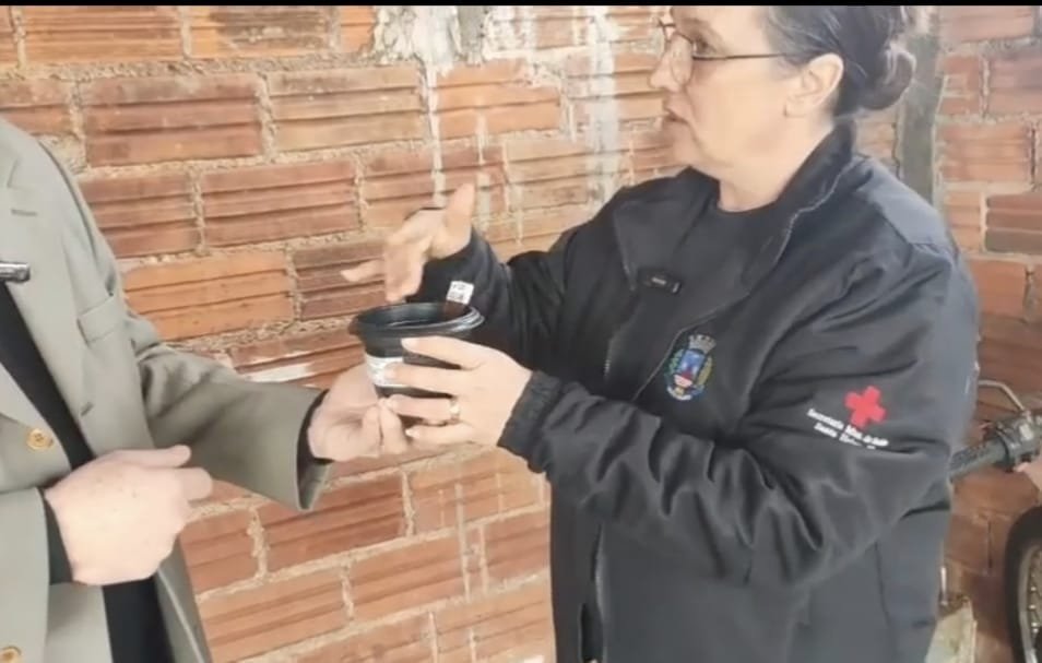 Ovitrampas são nova estratégia para controlar dengue e outras arboviroses em Santa Helena