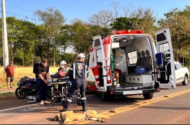 Em 5 dias, dois cachorros mortos por moto e três pessoas feridas em Santa Helena