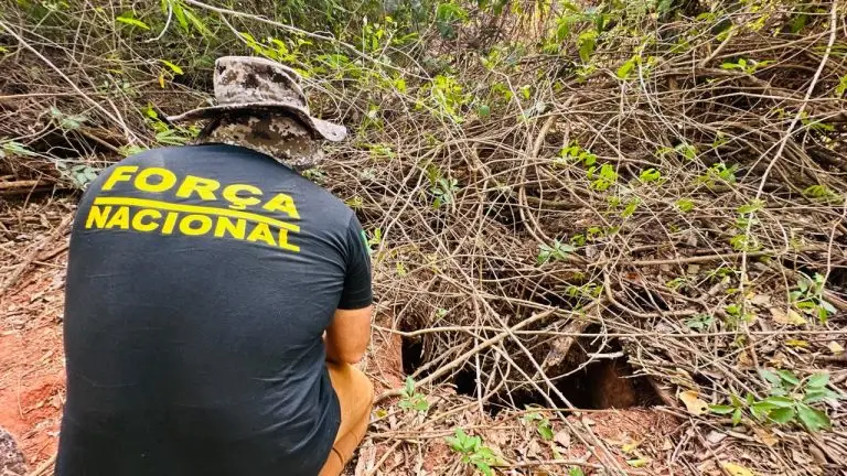 Força Tarefa investiga mortes em Icaraíma que devem ter sido perto da propriedade de devedores