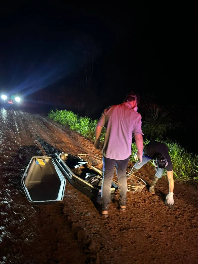 Quatro meses depois de ser encontrado corpo, ninguém foi preso por execução de mulher no Paraguai