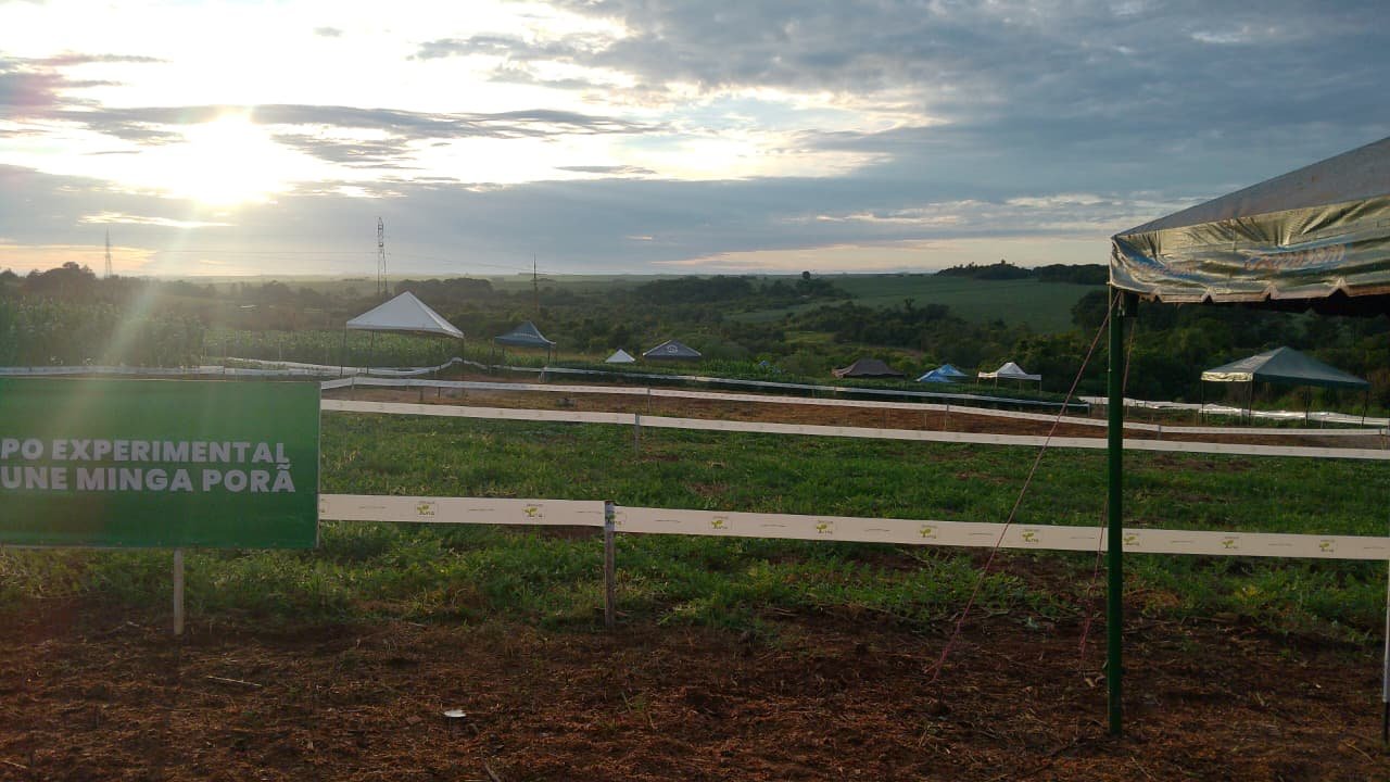 Hoje tem Dia de Campo na Universidad Nacional Del Este em Minga Porã, Paraguai