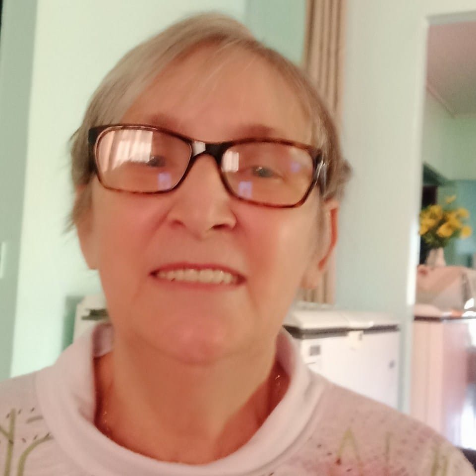 Mulher vítima de atropelamento em faixa de pedestre no centro de SH, continuava em coma na noite desta terça