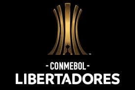 Os oito brasileiros classificados para a Libertadores