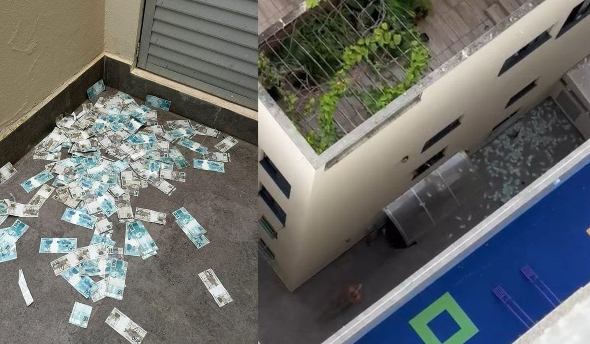 É um conterrâneo! Uns não podem ir à praia, outros fazem chover dinheiro no litoral de SH