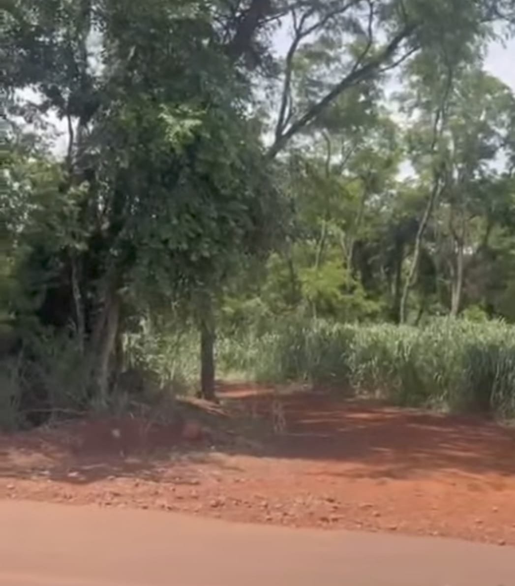 (Imagem: Pedro/Correio do Lago)