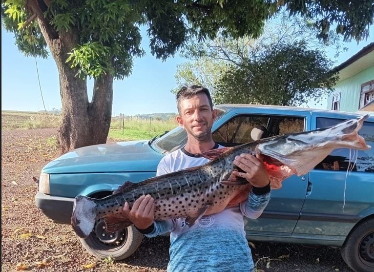 Pescador pega surubim de 22 quilos na volta da piracema em Santa Helena