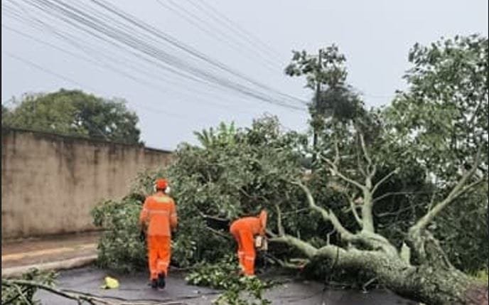 Temporal provoca danos em Foz do Iguaçu. Veja balanço da Defesa Civil