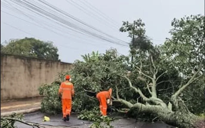 Temporal provoca danos em Foz do Iguaçu à tarde. Assunção no PY ficou alagada à noite…