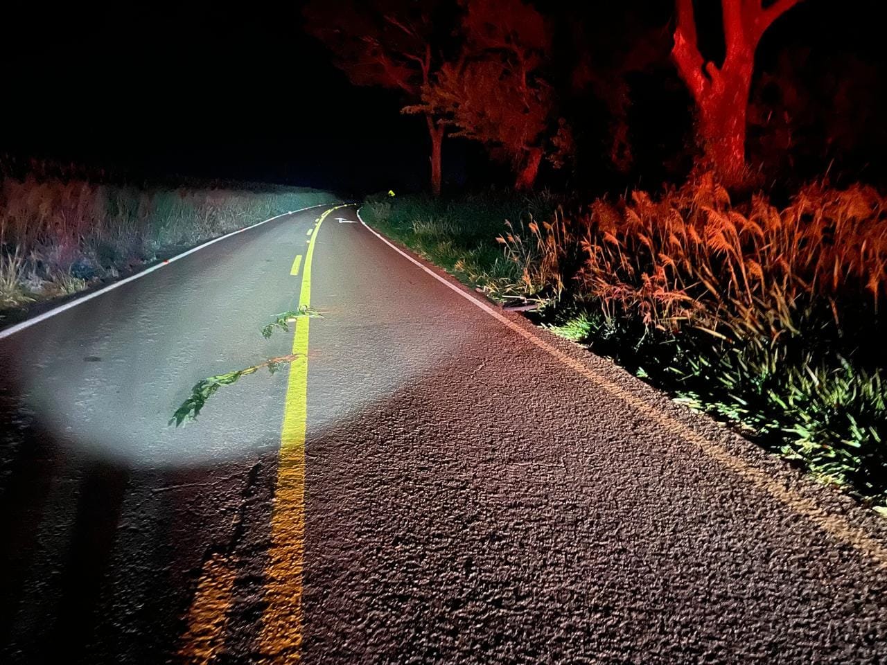 Mais um acidente fatal na região. Atropelamento envolve ciclista e motorista embriagado