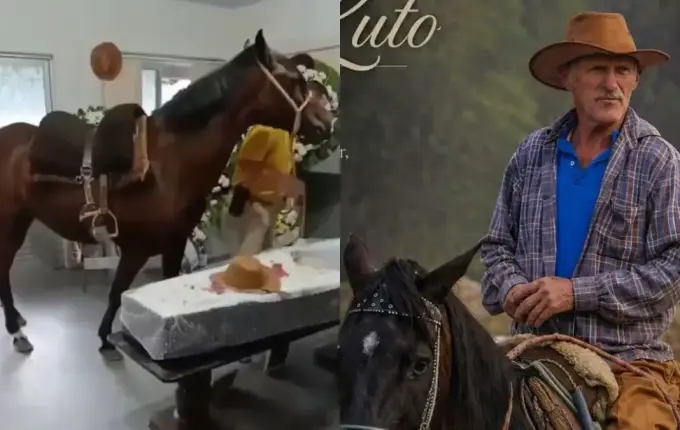 Num registro emocionante, égua relincha ao se despedir de dono em SC