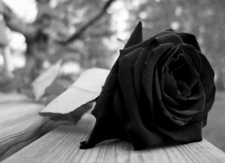 Falecimento de Jandira de Paula