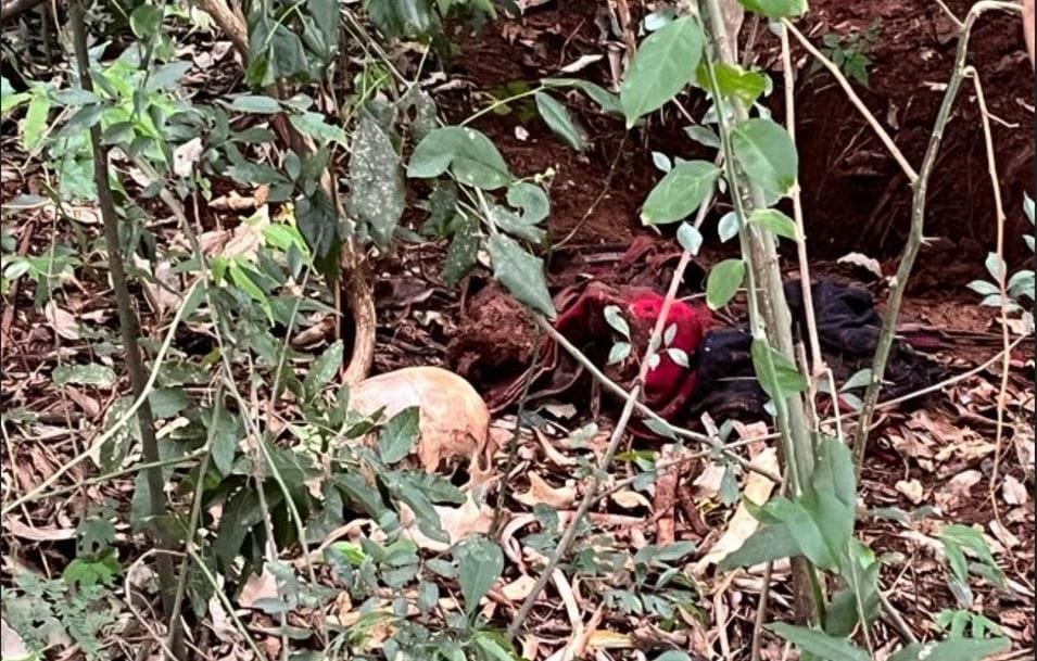 Vídeo: Achado macabro em Missal. Ossada humana é encontrada espalhada perto da Ponte Molhada