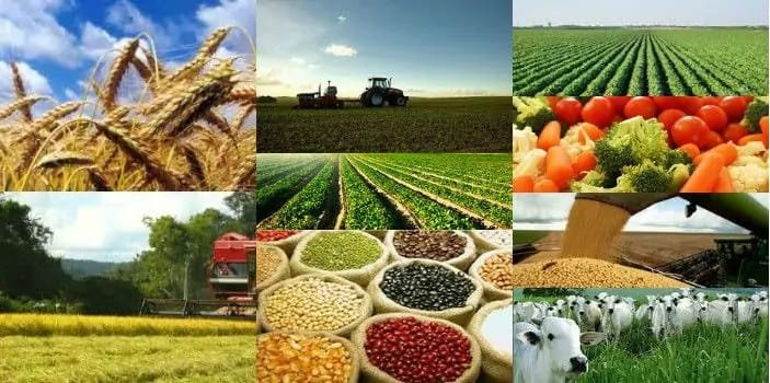 O agro sob ataque: inimigos externos, cúmplices internos