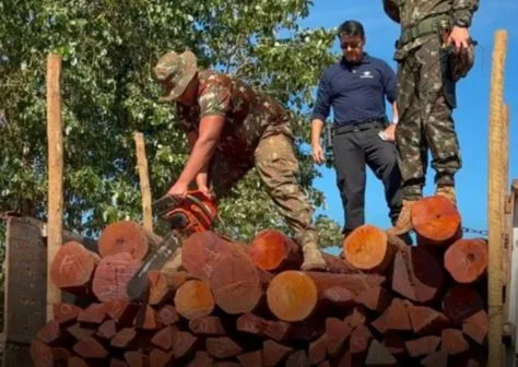 (Vídeo) Operação Timber Shield com apoio dos EUA pode ter apreendido a maior quantidade de cocaína da história no Brasil