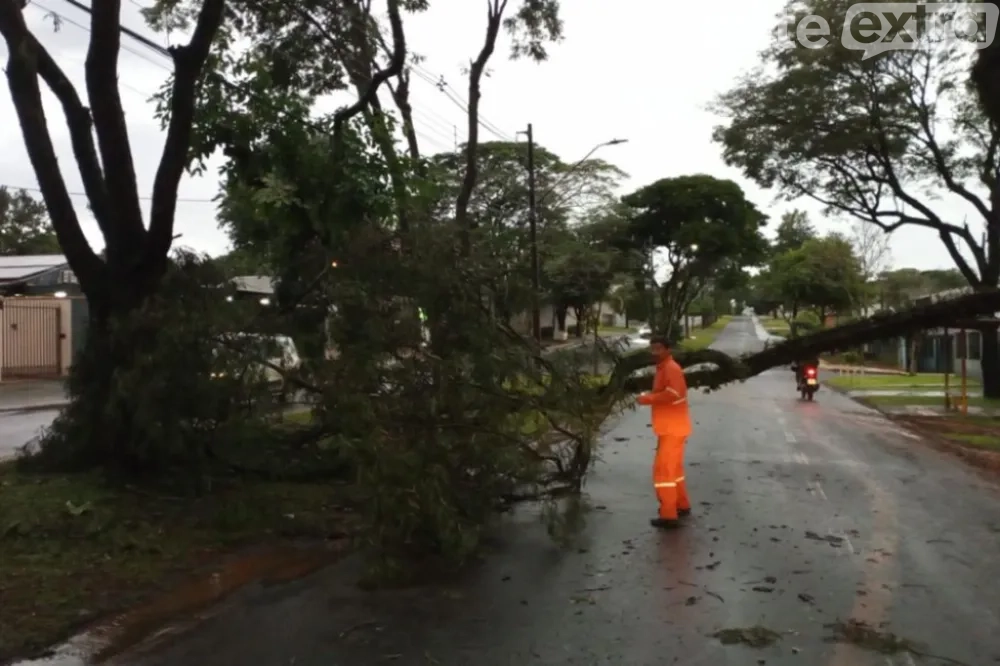 Granizo atinge área rural de Toledo e bairros de Foz do Iguaçu durante fim de semana de instabilidade no Oeste do Paraná
