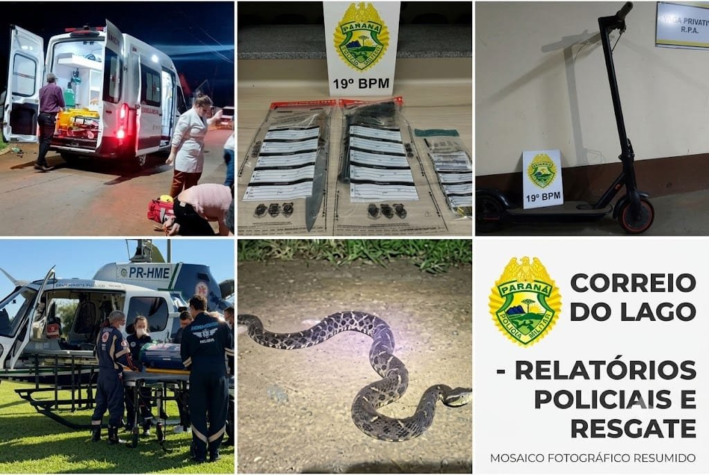 Transferência urgente de neonato, prisão por ameaça e porte de arma, adolescente picado por cobra, maconha em S. José e Santa Helena, ladrão de patinete preso e fuga depois de acidente