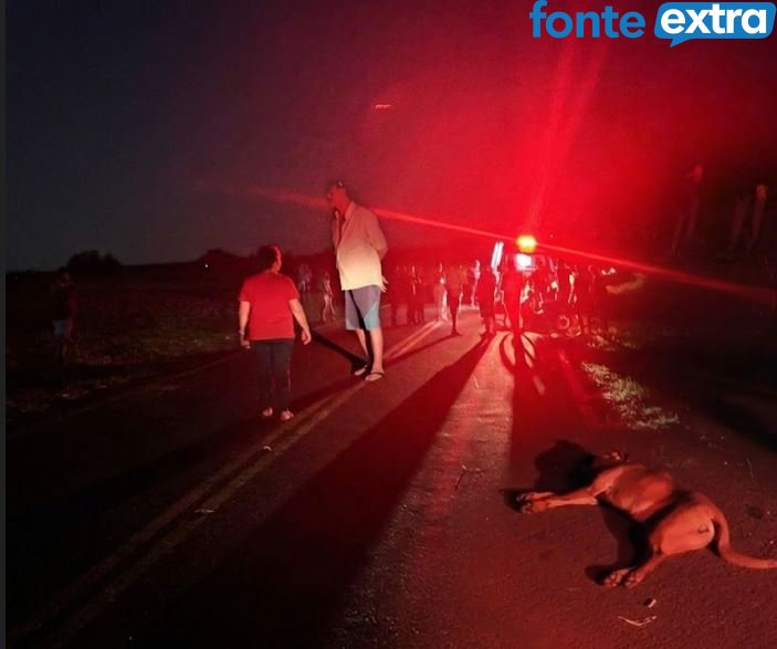 Fatalidade na rodovia: Idoso de 72 anos morre após atingir cachorro solto em Serranópolis do Iguaçu