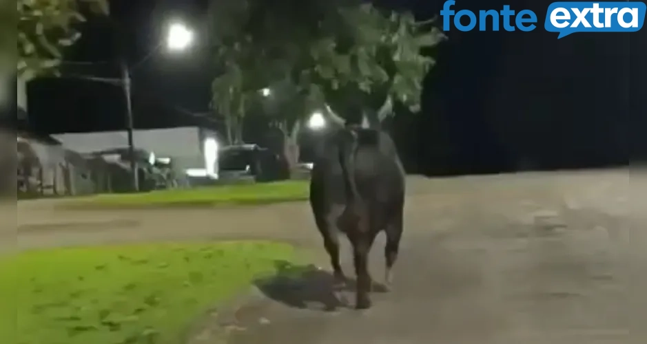 (Vídeo) Touro escapa de rodeio e mata mulher no Paraná nesta sexta