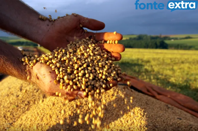 Cotação do agro: confira os preços desta quinta-feira (17)