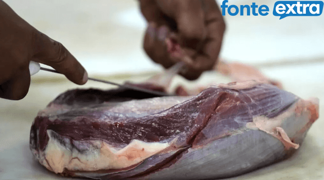 União Europeia suspende importação de carne bovina e de aves do Brasil a partir de quinta-feira