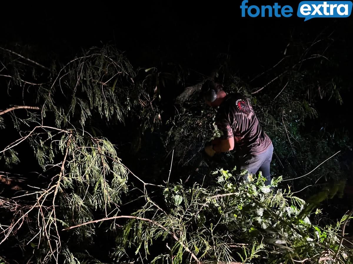 Temporal em MCR: Prefeitura age rápido na desobstrução de rodovia Margarida a São Roque