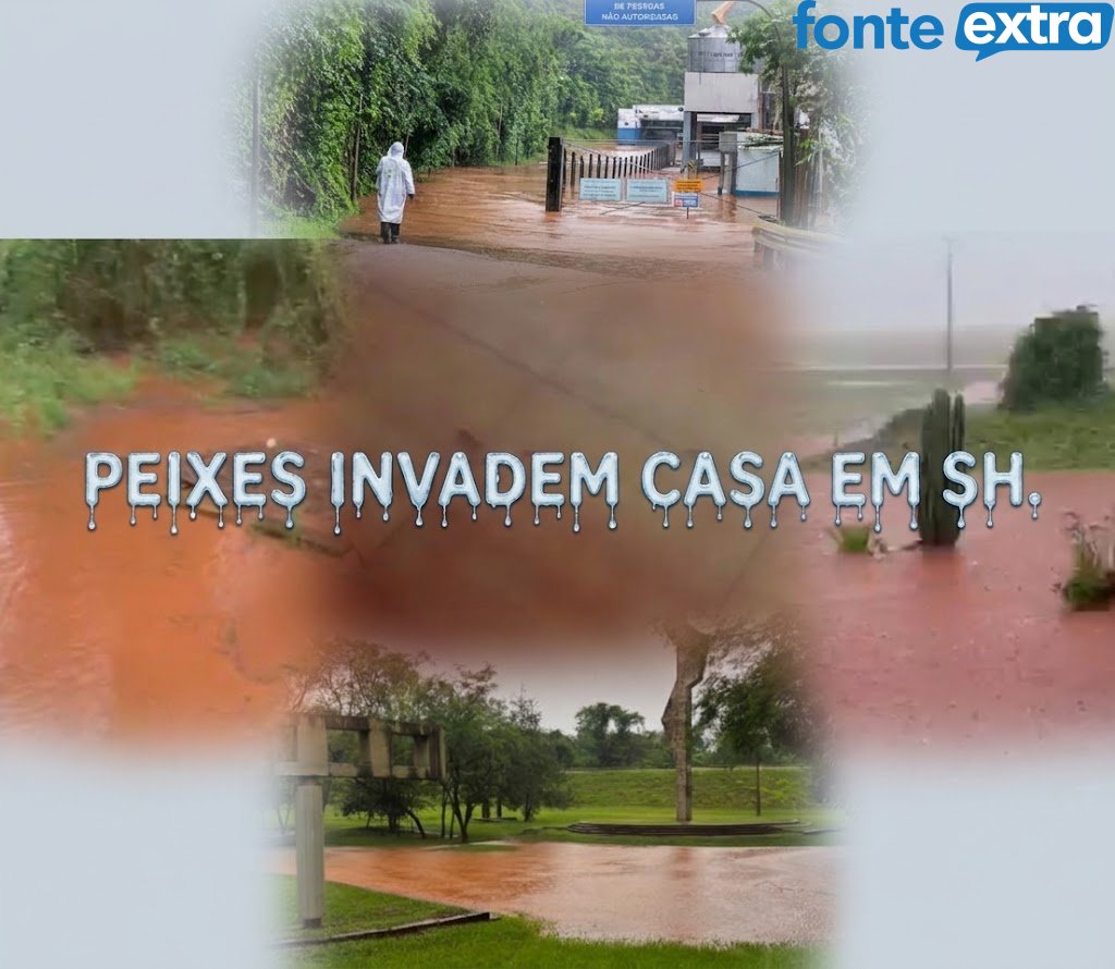 Chuva faz açude transbordar e peixes invadem área de casa em Santa Helena (vídeo)