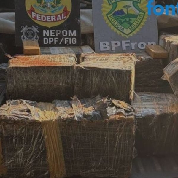 Quase meia tonelada de maconha em SH.  Dois PMS acusados de matar policial civil foram presos. Veja outras notícias do setor policial