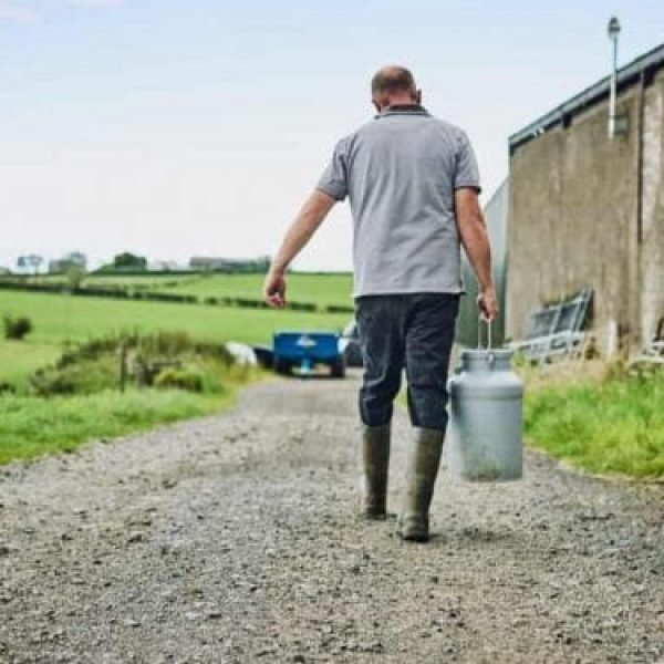 Comissão aprova proposta que simplifica renegociação do crédito rural