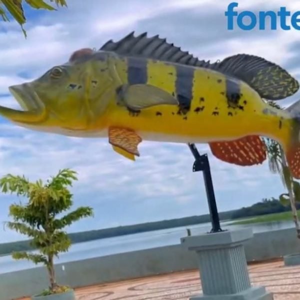 Tucunaré gigante da praia vai ser mais um espaço instagramável de Santa Helena (vídeo)