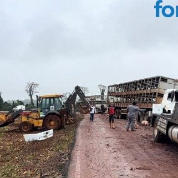 Caminhão carregado com suínos tomba no interior de Santa Helena