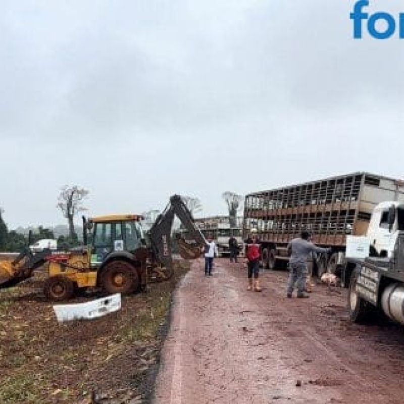 Caminhão carregado com suínos tomba no interior de Santa Helena