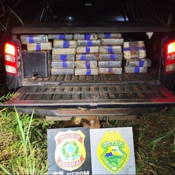 Operação Protetor de Fronteiras e Divisas pega quase meia tonelada de maconha em SH