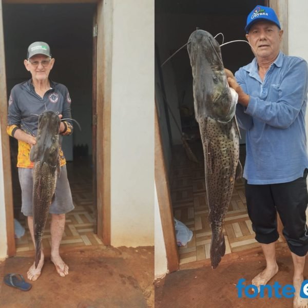 Pescadores pegam belo exemplar de surubim no lago em Santa Helena