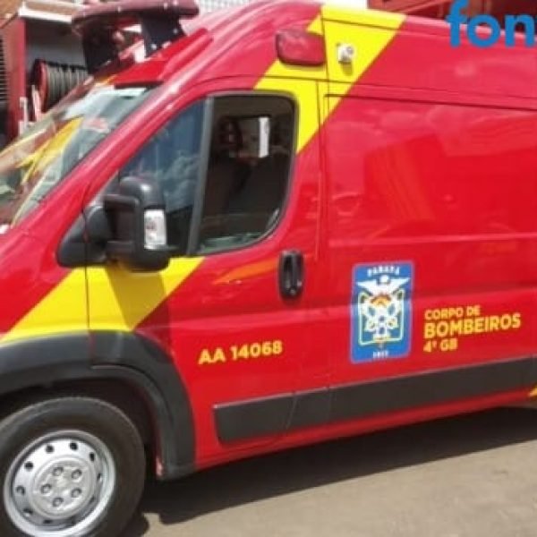 Adolescente é picado por cobra cascavel durante trabalho na lavoura em Iguiporã