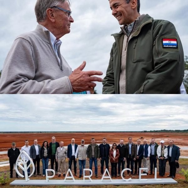 Paraguai inicia construção do maior polo industrial florestal da história