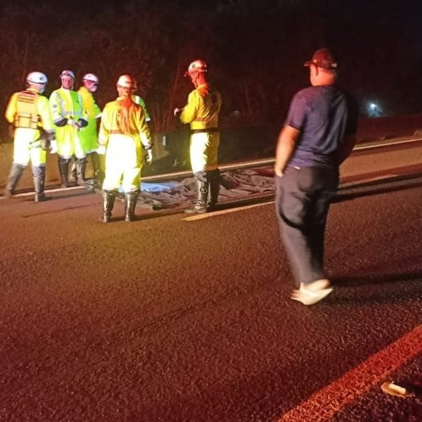 Homem sofre múltiplos atropelamentos na 277 e não resiste