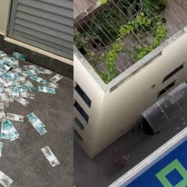 É um conterrâneo! Uns não podem ir à praia, outros fazem chover dinheiro no litoral de SH