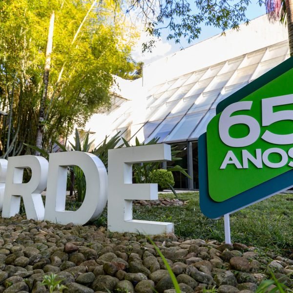 Aporte de R$ 3,6 milhões para projetos do Fundo Verde no Paraná