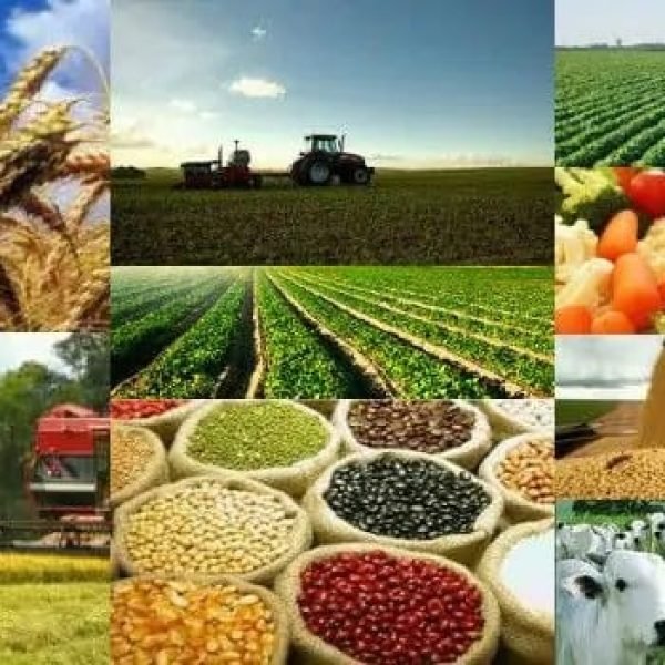 O agro sob ataque: inimigos externos, cúmplices internos