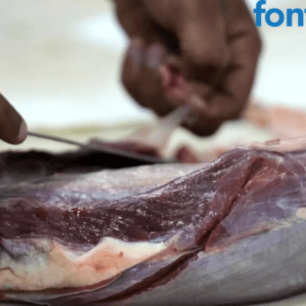 União Europeia suspende importação de carne bovina e de aves do Brasil a partir de quinta-feira