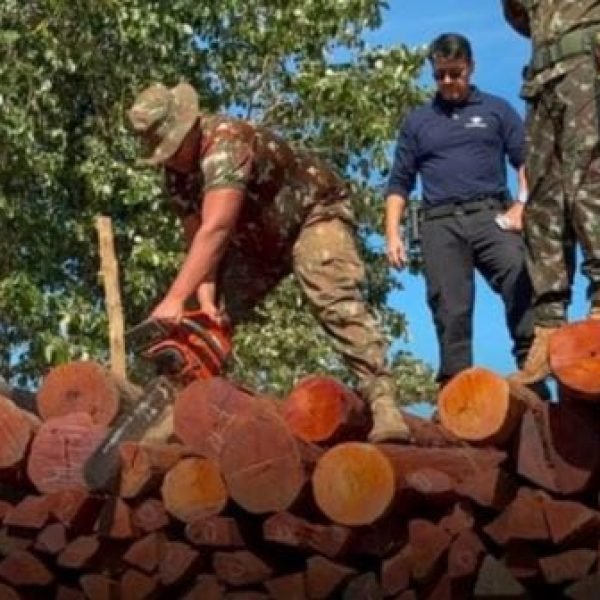 (Vídeo) Operação Timber Shield com apoio dos EUA pode ter apreendido a maior quantidade de cocaína da história no Brasil