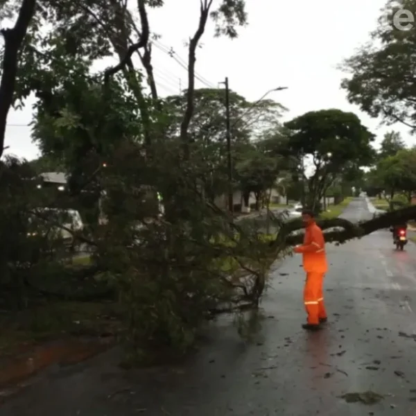 Granizo atinge área rural de Toledo e bairros de Foz do Iguaçu durante fim de semana de instabilidade no Oeste do Paraná