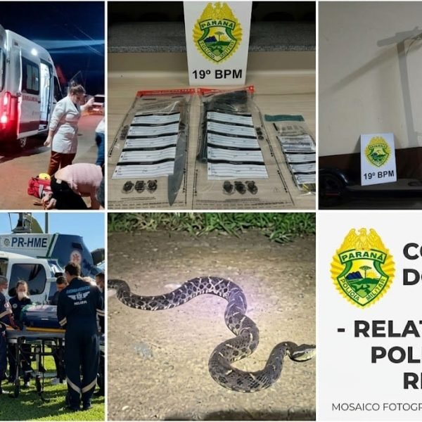 Transferência urgente de neonato, prisão por ameaça e porte de arma, adolescente picado por cobra, maconha em S. José e Santa Helena, ladrão de patinete preso e fuga depois de acidente