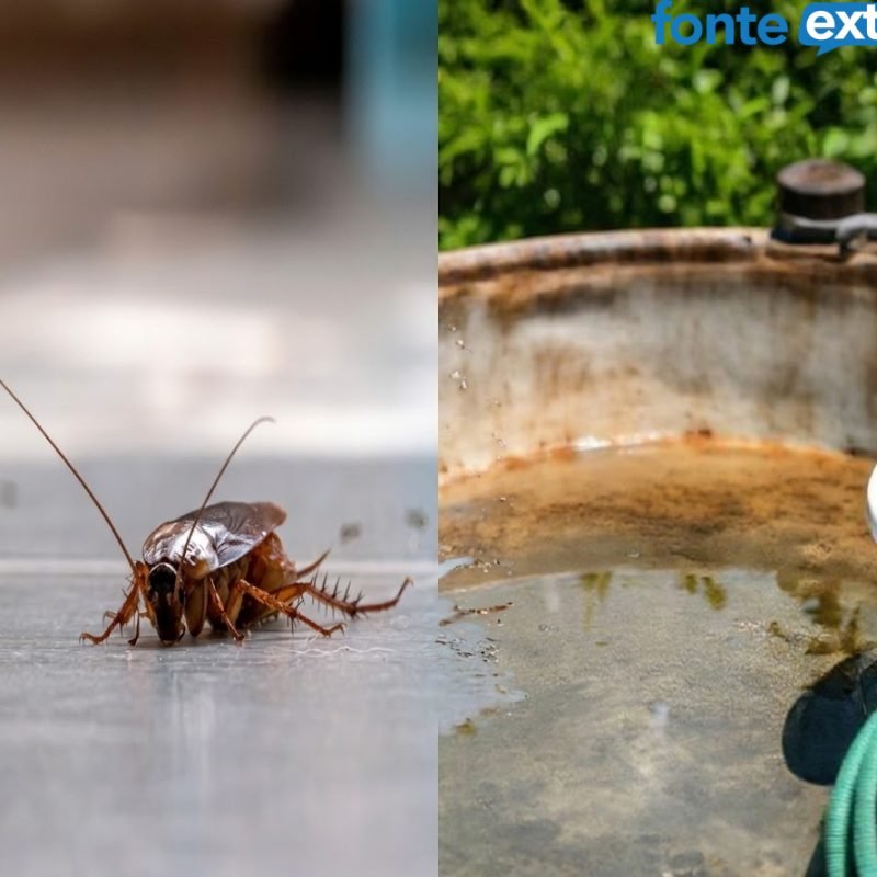 Inquilinos indesejáveis? Caixa d’água numa sujeira só? Master soluciona!