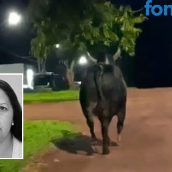 (Vídeo) Identificada mulher que foi morta por touro